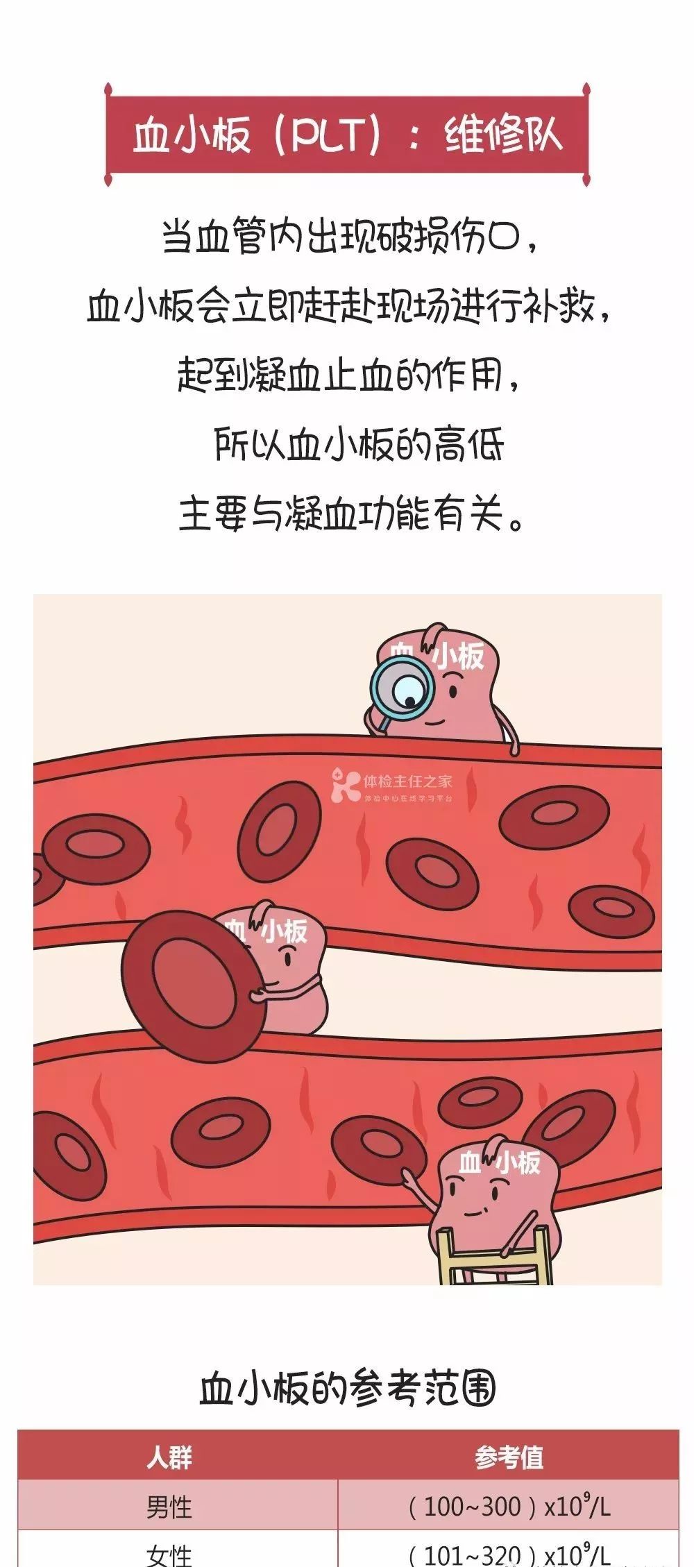 3分钟看懂血常规化验单漫画版
