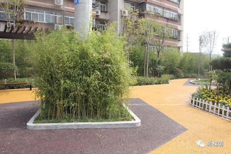 竹子遮挡电线杆,既具观赏性,又可以为儿童提供更安全的环境.