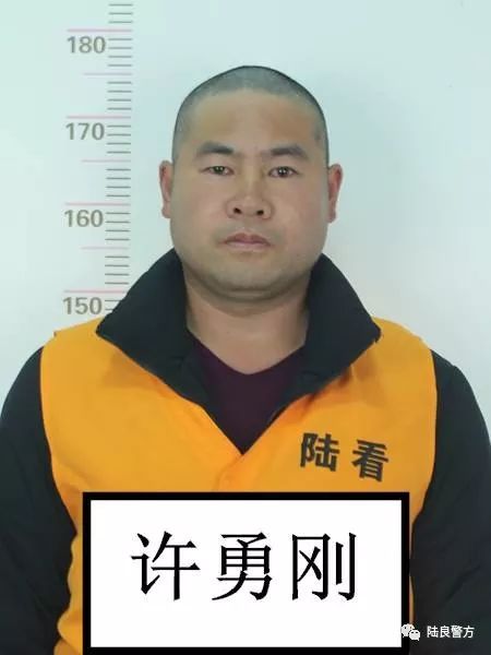 陆良县人民检察院依法对许勇刚,杨小六,卢云昆,田月红恶势力团伙以