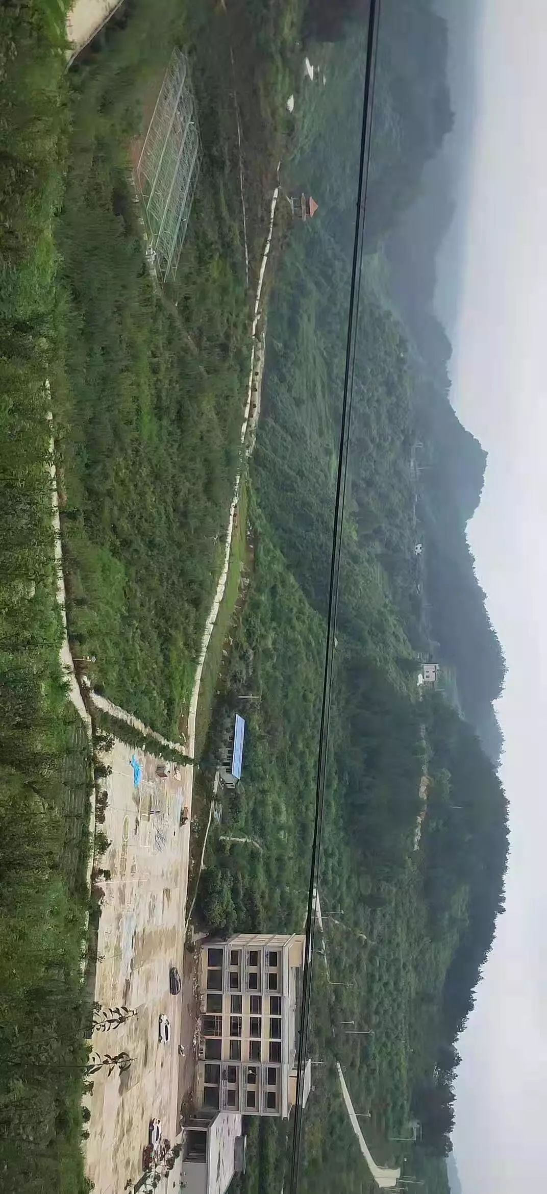 大沙坝余家寨李子熟了生态管理好吃又放心管饱就等你来