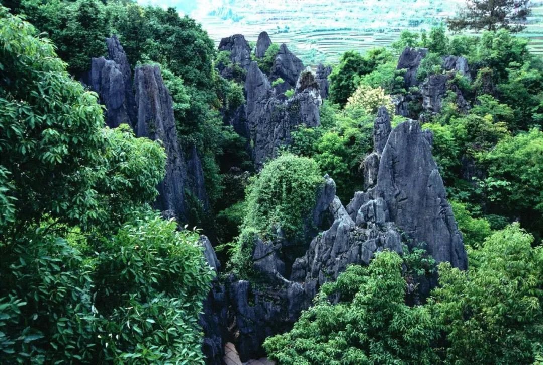 永安桃源洞鳞隐石林二日游