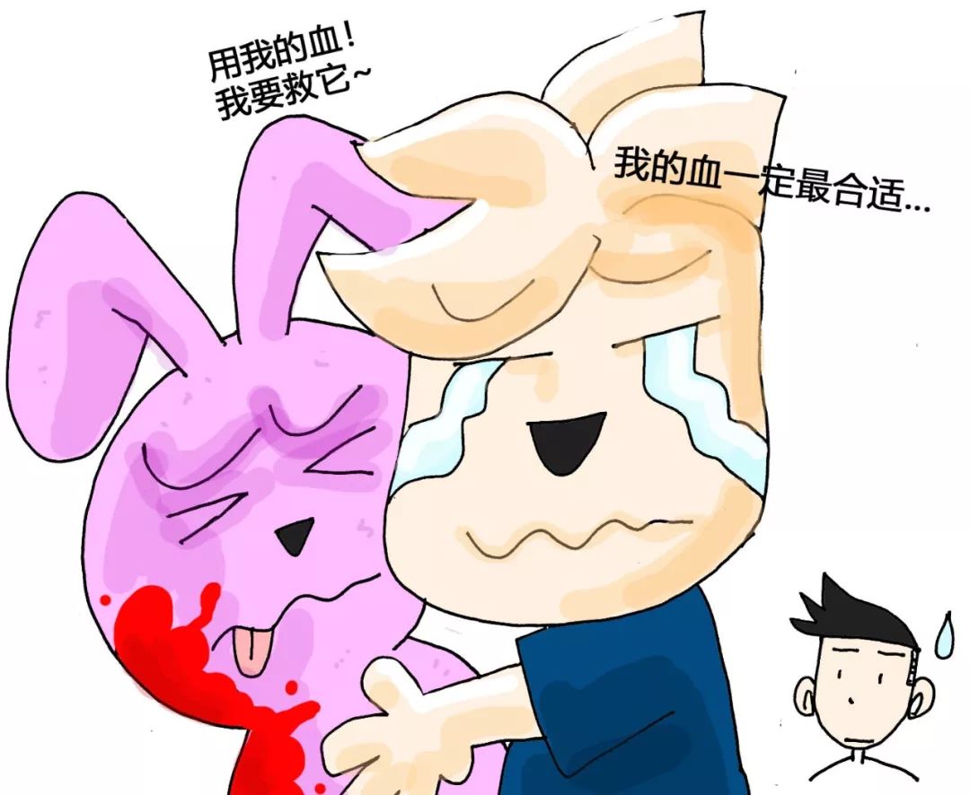 南楠说科普诶您可能对输血治疗有误解