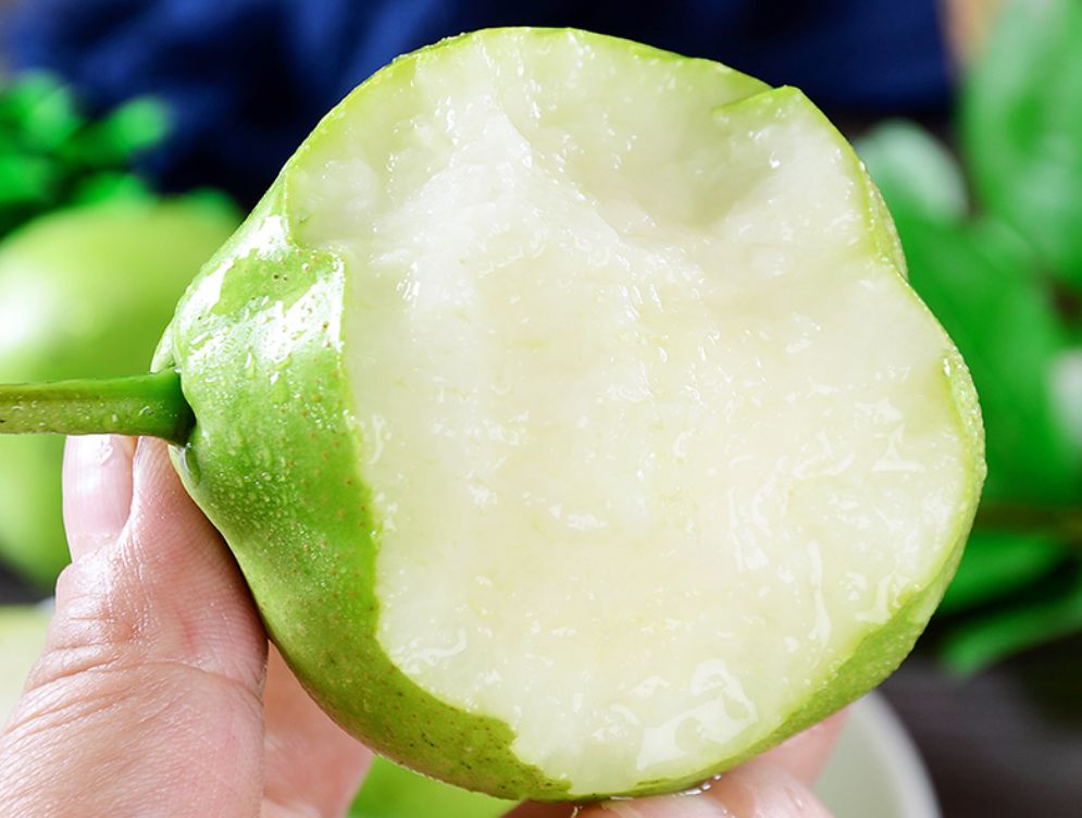 长在树上的矿泉水咬一口流一手清脆甘甜又爽口蒲城早酥梨