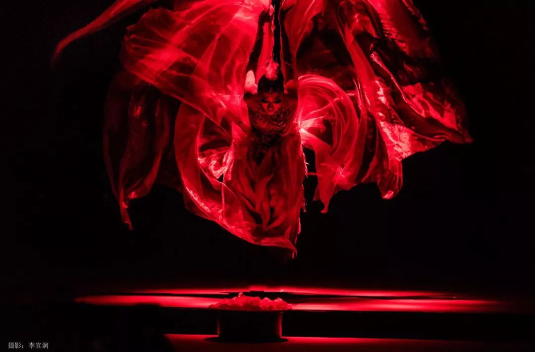 舞蹈《火》杨丽萍老师指导,杨舞创作