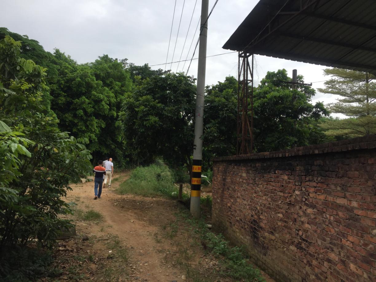 龙文区农业农村局持续加强畜禽养殖反弹和私屠滥宰工作督查