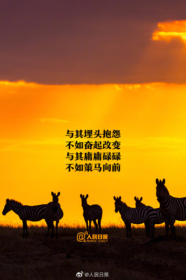 【每天一点正能量】你不主动寻求改变,怎么会有改变