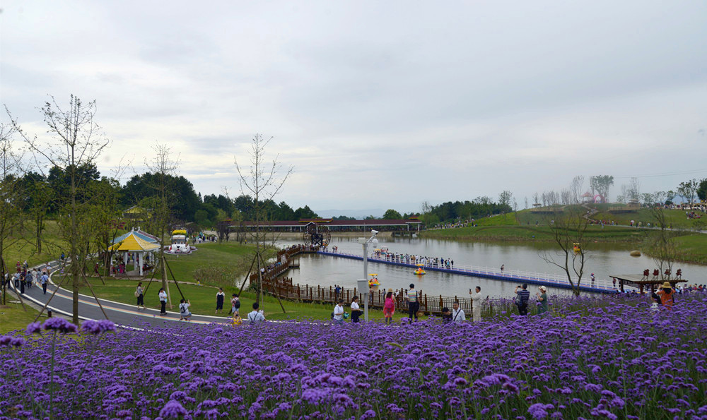 横山花仙谷图片