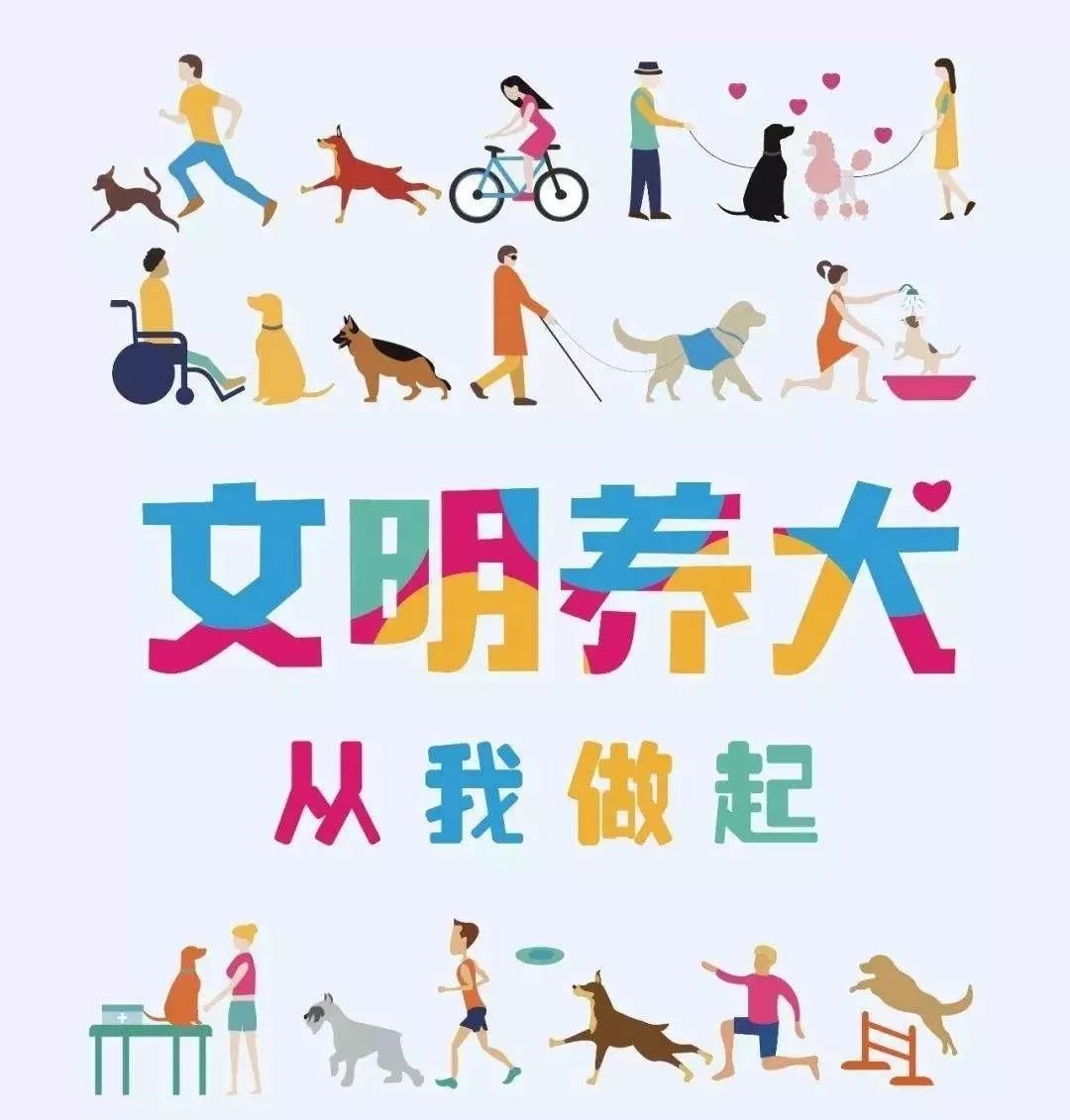 宠物百货批发市场洞察:趋势与挑战并存
