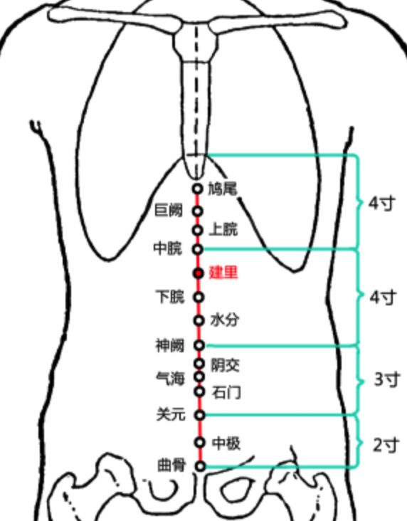胃痛腹胀嗳气反酸便秘腹泻可以经常按一下这个穴位