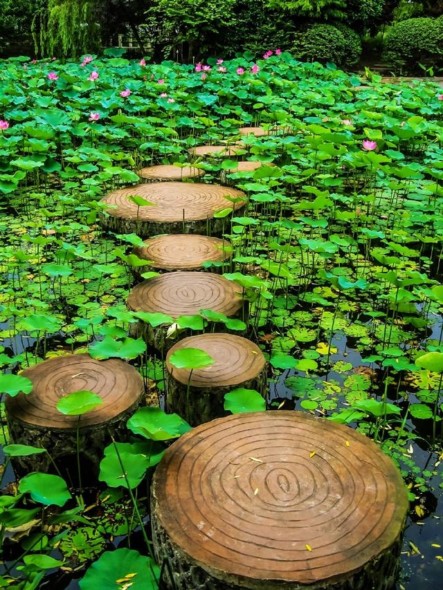 华亭人家景区介绍图片