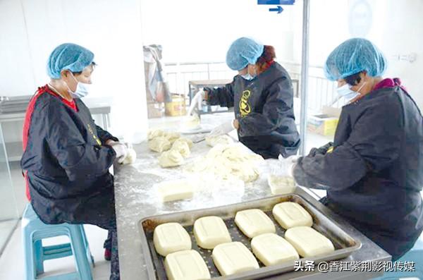 食品加工厂家动态：创新与挑战同行