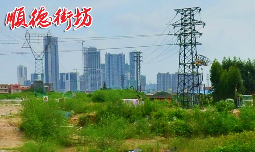 一家可分过百万!佛山这条村又要沸腾了!_大墩村
