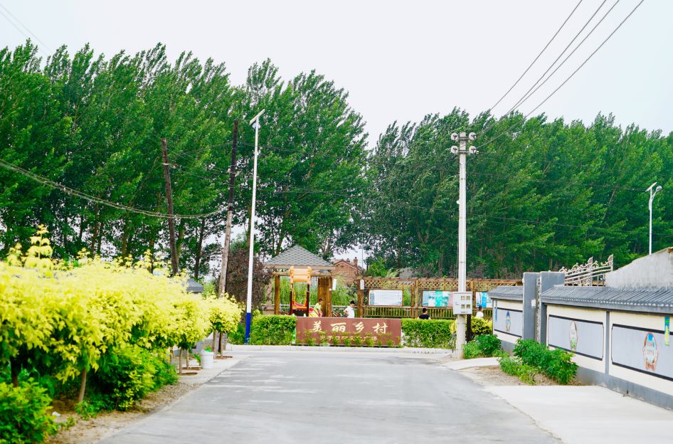 佟二堡镇亮子口村践行垃圾分类建设美丽乡村