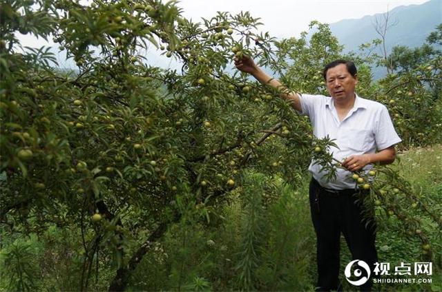 陕西西乡堰口村村书记图片