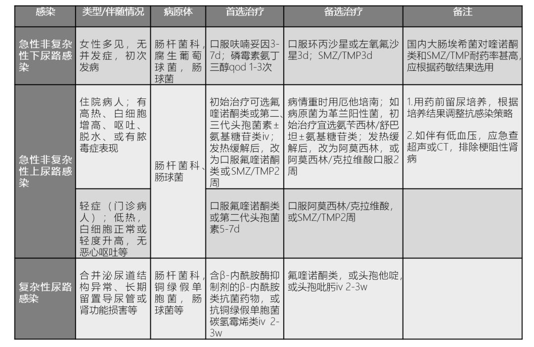 尿路感染治疗：科学防治，轻松守护健康