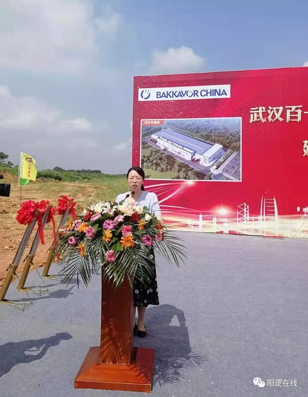 新洲区人民政府副区长,阳逻开发区管委会主任陈晓红致贺词并宣布三个