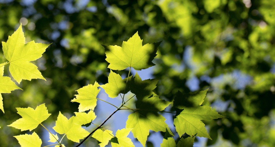 电商的家电业新零售破局也很难：但京东天猫们都在逆势线下扩张-家电圈官网