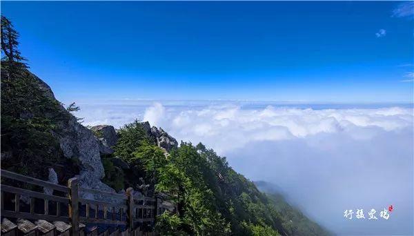 今天入伏 我閒庭漫步在21°的太白山