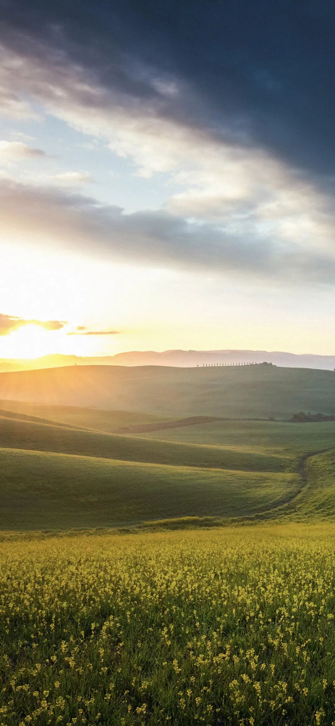 安卓全面屏壁纸原来长大后没什么了不起