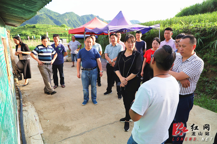 龙山县委书记时荣芬图片