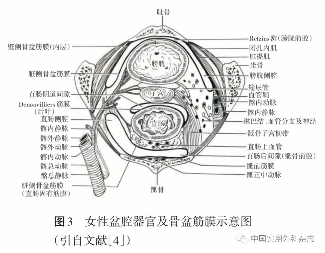 专题笔谈