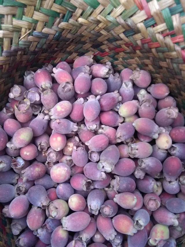 海南人小时候常吃的"山尼"价格暴涨!致我们逝去的童真时代