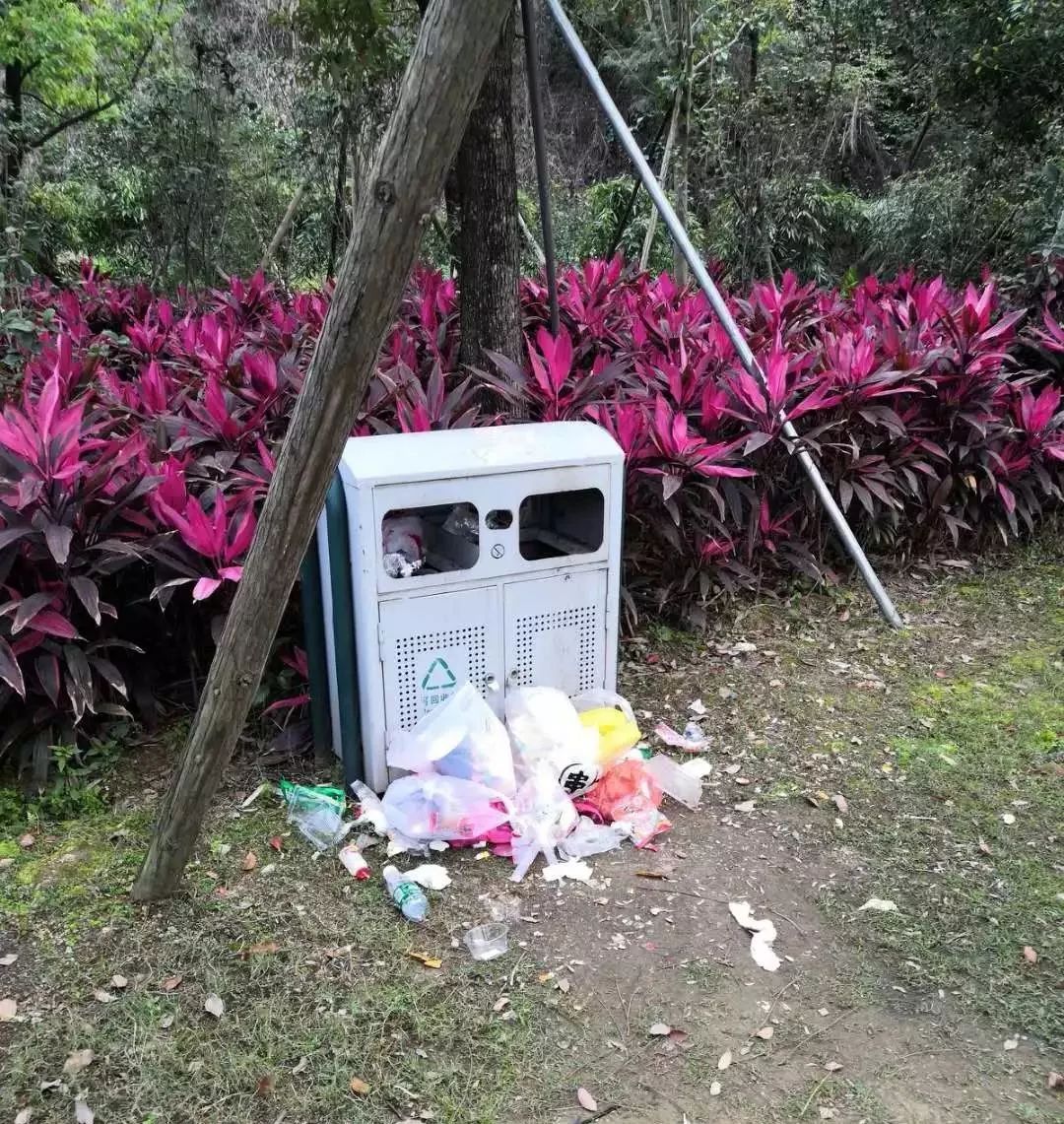 实拍佛山一公园不雅一幕看完脸都红了太羞耻了