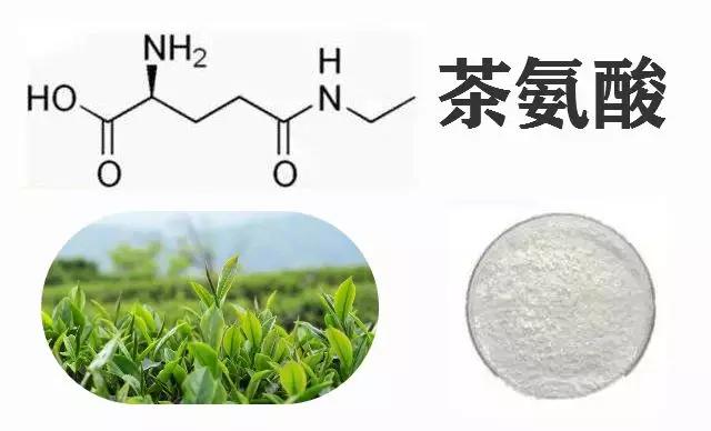 宜补充茶氨酸,整晚好睡眠