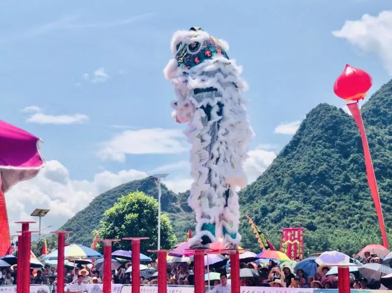 贵港狮王出炉14队醒狮霸气pk高桩场面超刺激