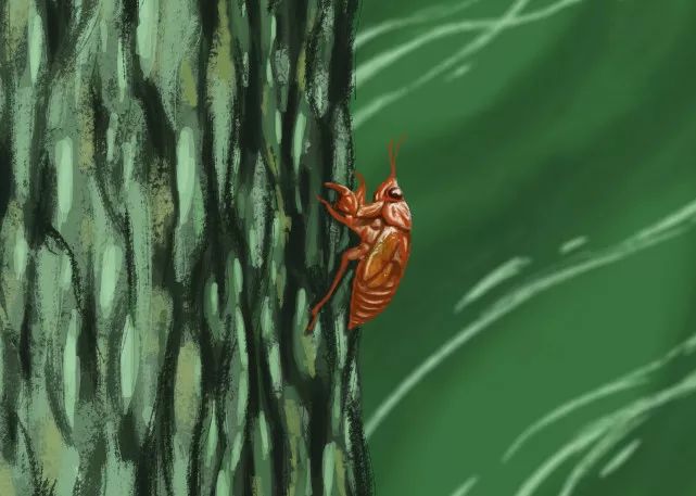 涡阳到处都有的这种东西值7000元一斤