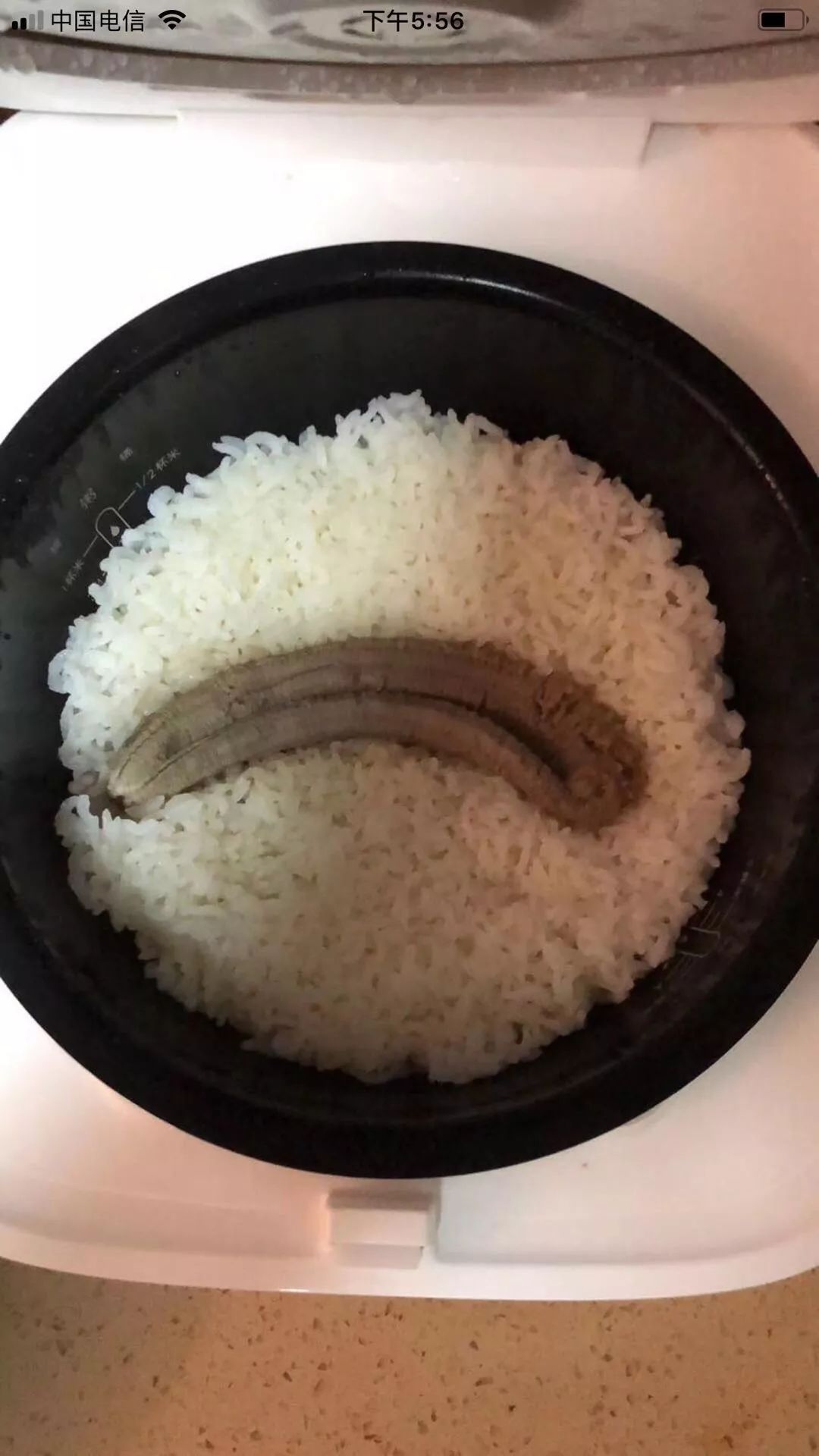 看到某宝视频下方评论都是骂的,我就放心了.你能接受 米饭香蕉同煮么?