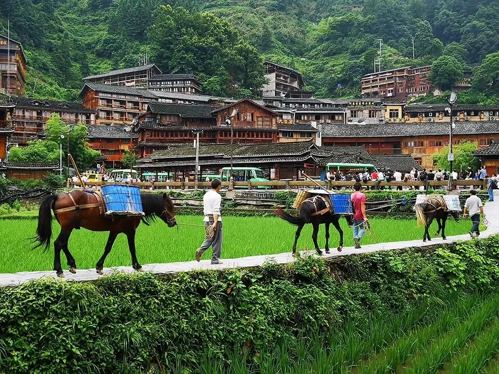 大家都开心(3群)作品名称:《卡贝尔廊桥》拍摄地:湖南长沙手机型号