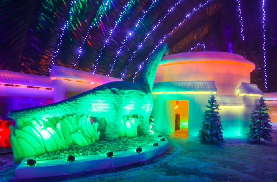 特价游夏日乐悠悠一起去河源奇幻冰雪世界吧