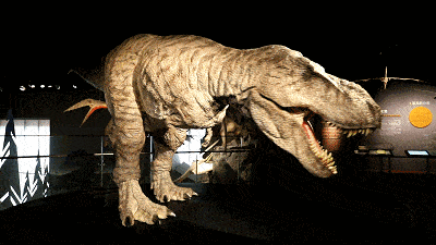 这个暑假穿越到惊险刺激的恐龙时代带你360°全方位体验侏罗纪世界