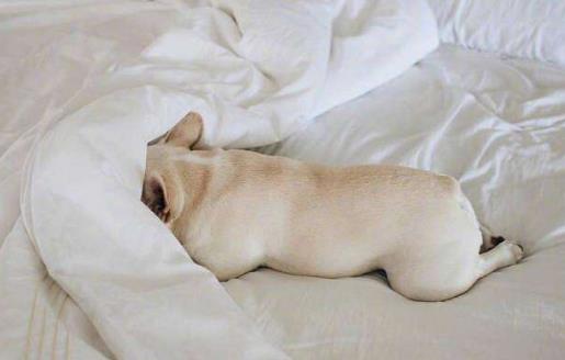 起床缓冲失败适当的赖床却有益于身体健康