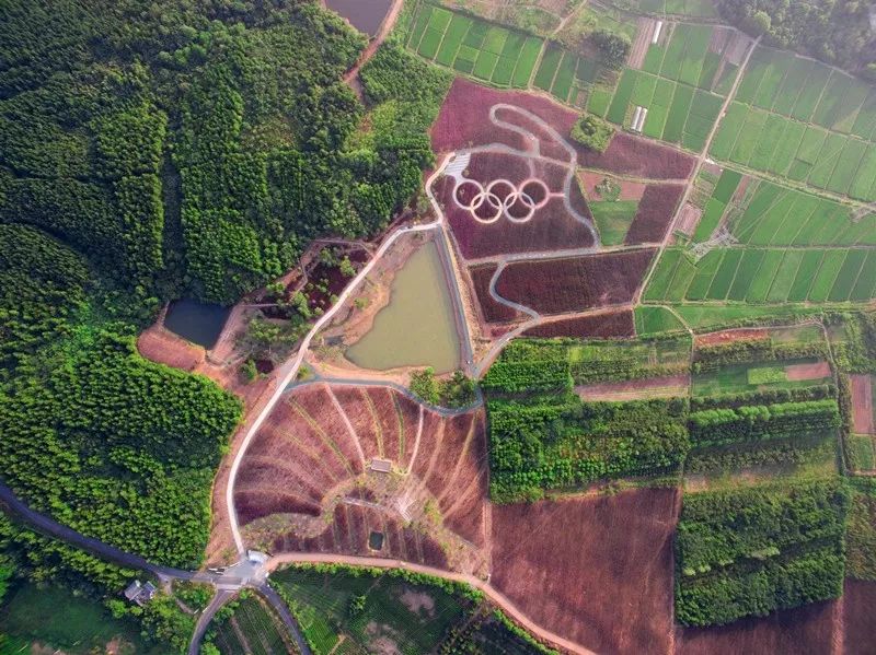 震撼上帝视角曝光七彩曹山的百亩紫薇花海美得如梦似幻