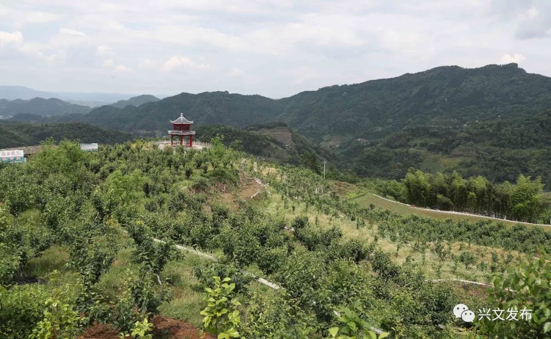 点赞僰王山镇昔日槽坝田地今日农业公园