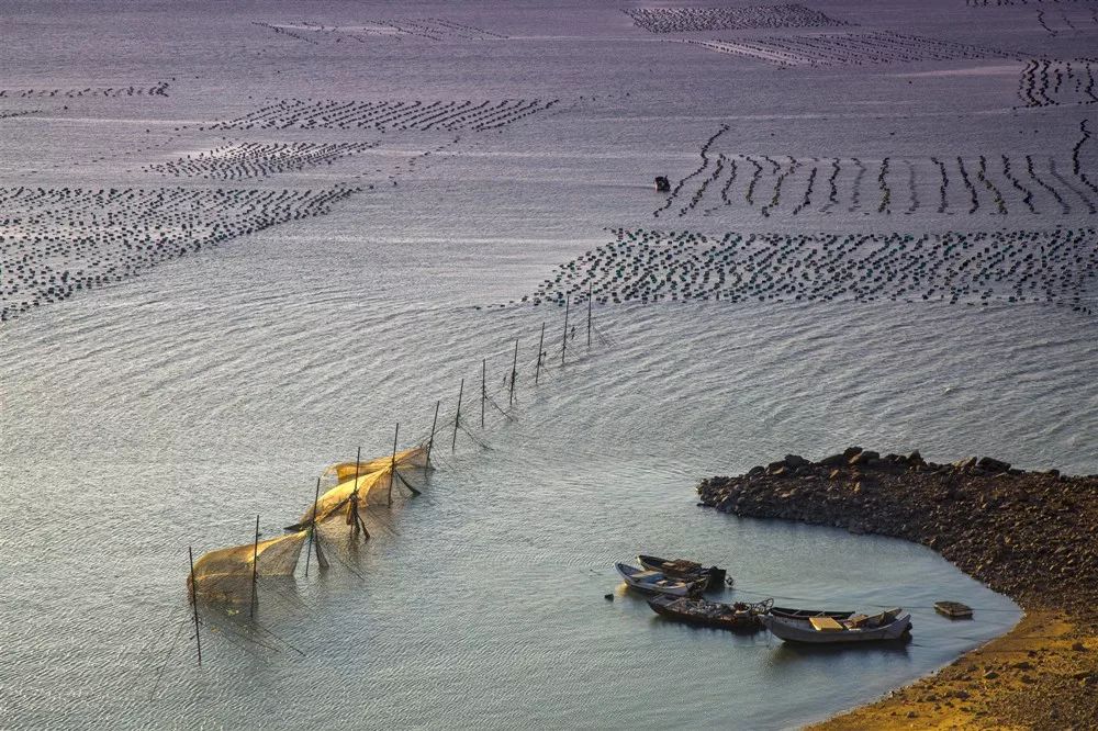 一起去沙浦吃海鲜盛宴!