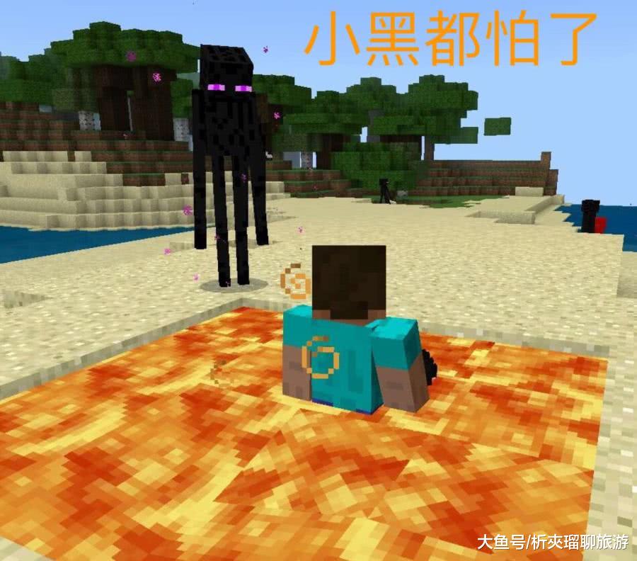 我的世界怎样与末影人安全对视给你八种方法第八种小黑绝望