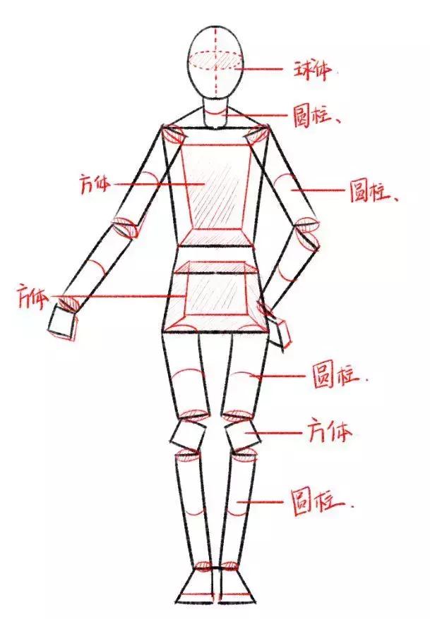 教你运用几何方块来简化目标!_人体