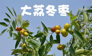 310_190gif 动态图 动图