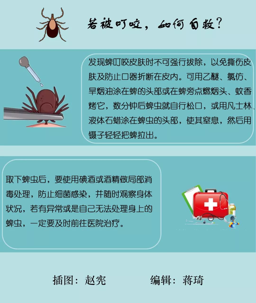 【人大评议专区·聚焦疾病预防】蜱虫虽小,不可不防