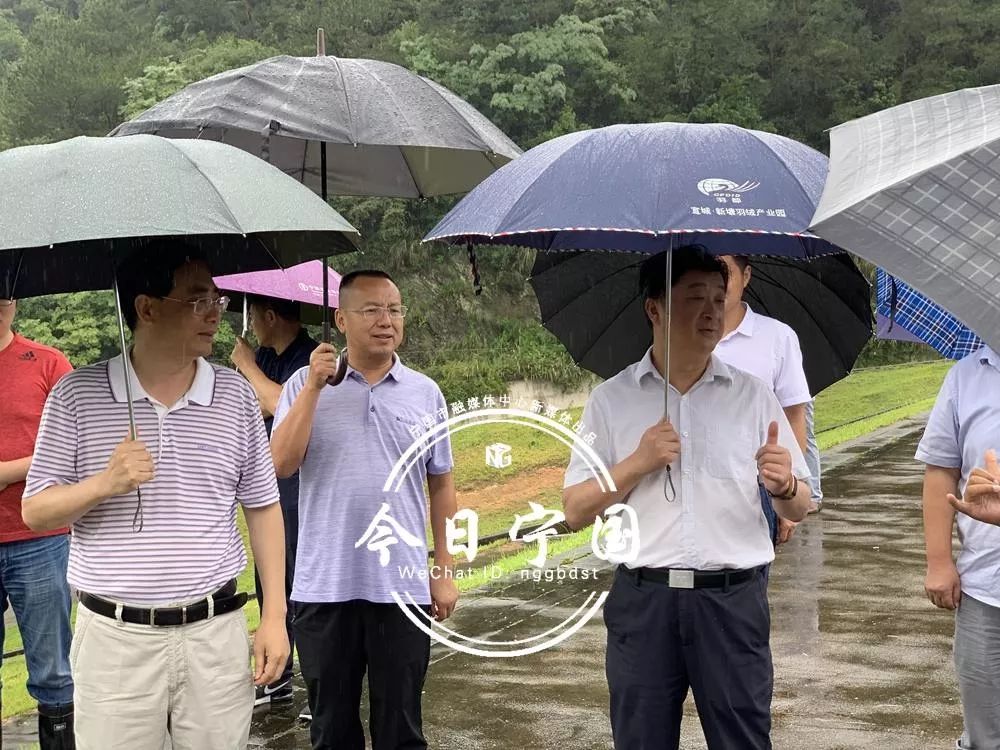宁国强降雨引发多处地质灾害全市干群正全力抢险救灾