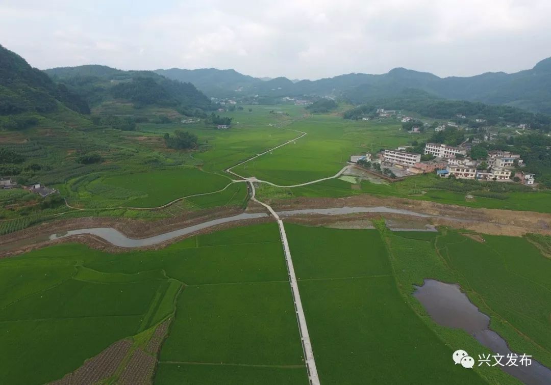 都是僰王山镇当地的村民,现在,他们在家门口的水泸坝现代农业公园务工