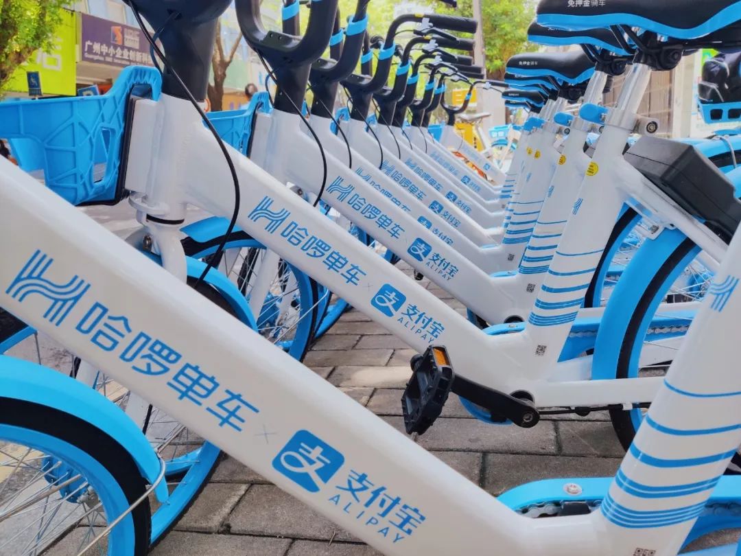 靓仔望呢度v粉免费领取哈啰单车30天月卡