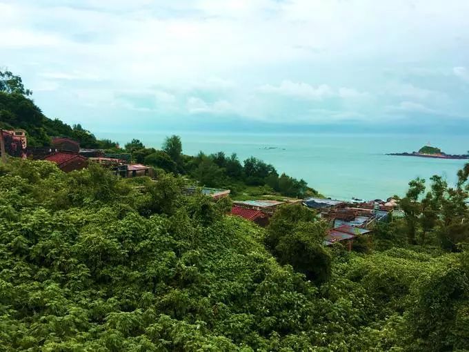 东山港西村风景区图片