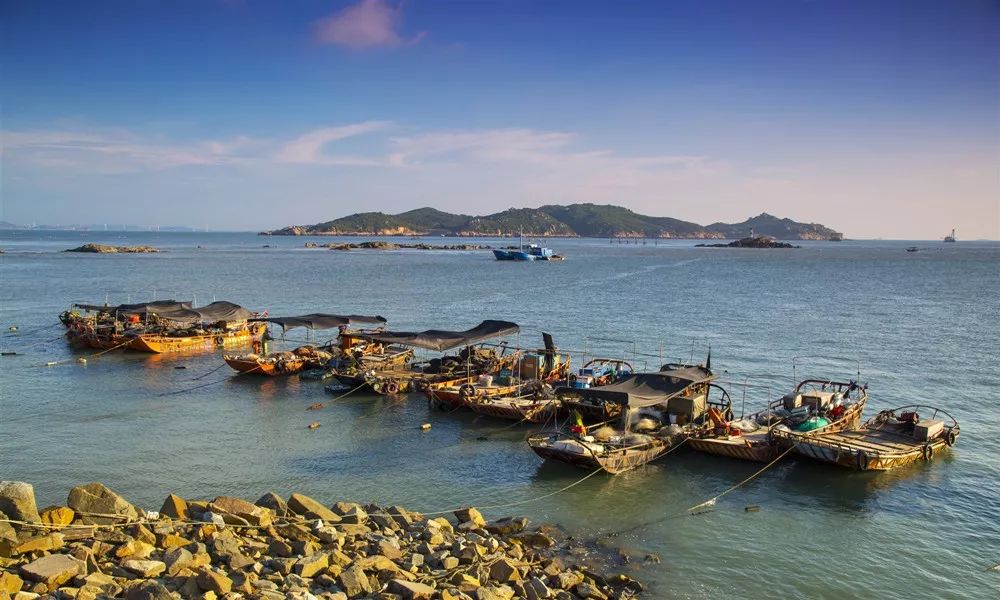 一起去沙浦吃海鲜盛宴!