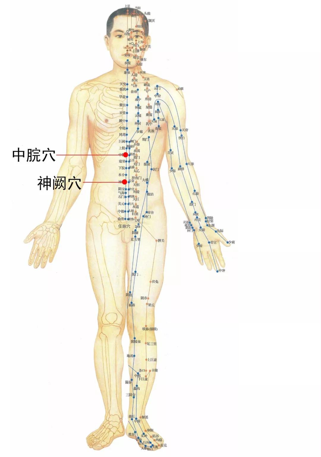 艾灸胃炎的位置图图片