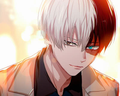 我的英雄学院为什么网友总喜欢把轰焦冻叫成轰总呢