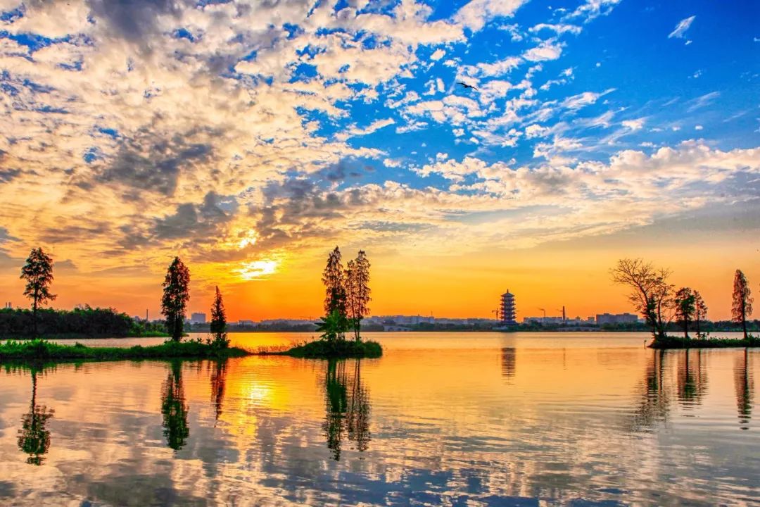 华阳湖风光独好,"水美我家"省摄影大赛开镜